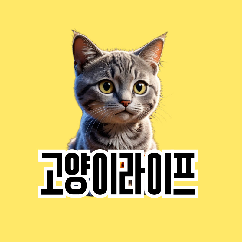 고양이라이프