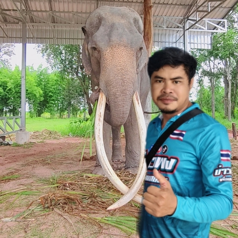 บ่าวพง เพื่อนเกษตร 
