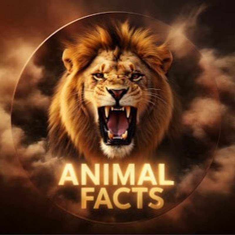 ANIMAL FACTS AND LIFE 