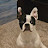 @OliveTheFrenchton