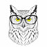OvxPV7b_y_U-channel-avatar-BÍLÝ VÝR