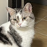 h6MxX76HBfM-channel-avatar-CC is a cat