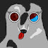i5Vp6oUh3N4-channel-avatar-Kupferlutscher