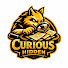 rwcCsUEg_hA-channel-avatar-Curious Hidden