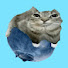 rDg77VP6p5A-channel-avatar-BlueBerryCatOwner 