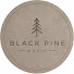 zWkZQnTlrSQ-channel-avatar-Black Pine Music 