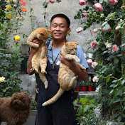 大叔和貓Uncle chen and cats