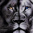 @ابنادلبوفتخر-خ4خ Avatar