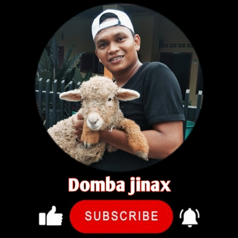 Domba jinax