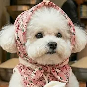 나는 구름이 I’m Gooroomi