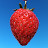 @OpinionFactChecker's avatar