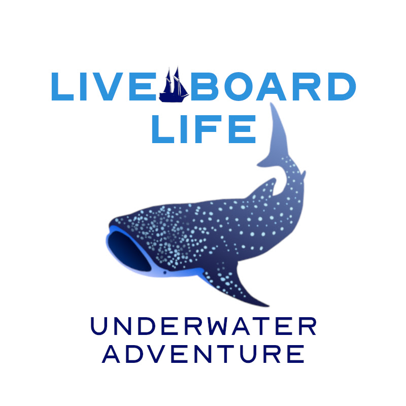 liveaboardlife