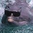 8EZEcAJcSjE-channel-avatar-NOBK