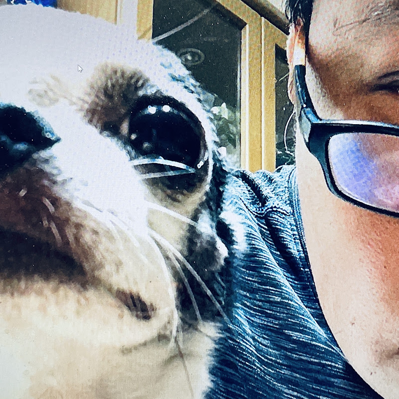 keith 簡單生活 Logo