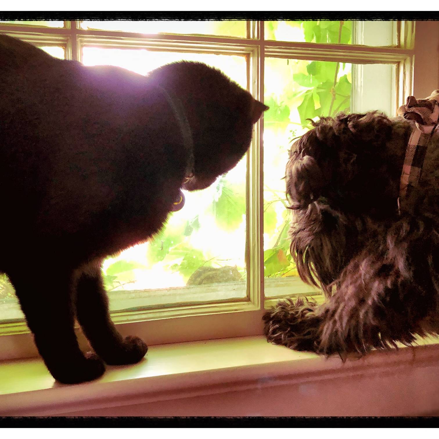 Post from OK CHRISTINA