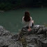 qdAaAra08UM-channel-avatar-Ren healing きゃんぷ