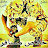 @algngmahmoued1275