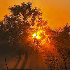 Historical Tech Vibes with Stock Expert 