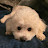 @관세음보살28