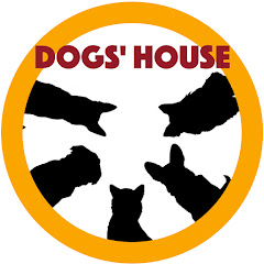 DOG'S HOUSE ちゃんねる
