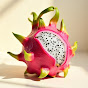 Dragon Fruit logo