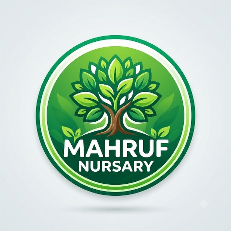 MAHRUF NURSARY 