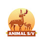 ANIMAL S/V  logo