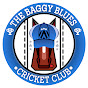 Cricket Addicts Assemble logo