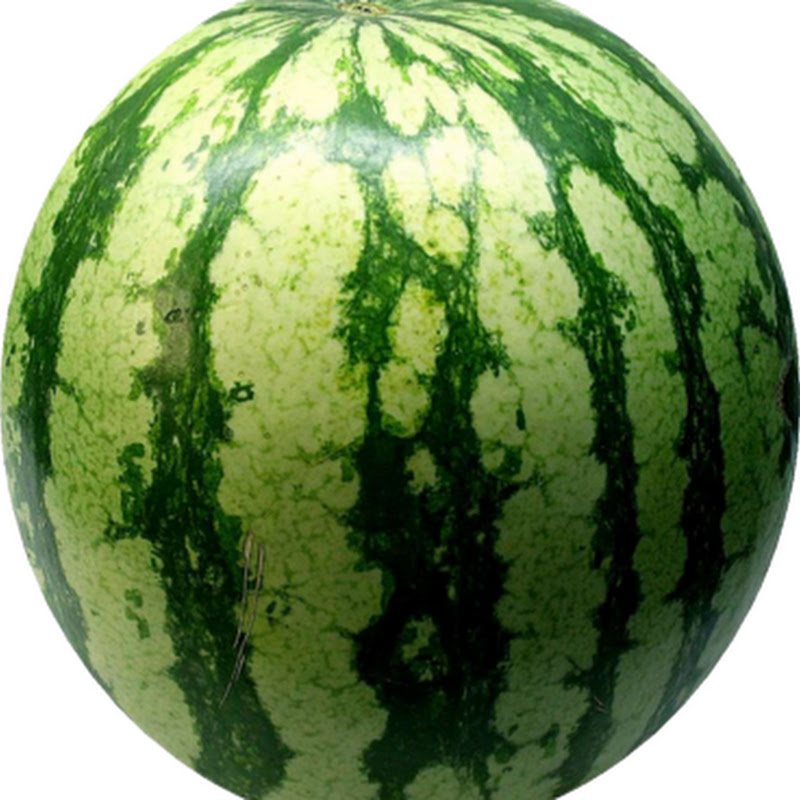 Sirmelonhood