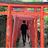 jXJ26PNKoGQ-channel-avatar-TARO Life / Japan Local's Vlog