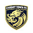 46BKrFooVTo-channel-avatar-Cardifftownfc
