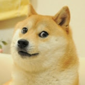 The Lostpuppy channel 