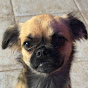 RawHuney Avatar