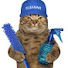 la-kR5_0h6E-channel-avatar-CLEANING ASMR