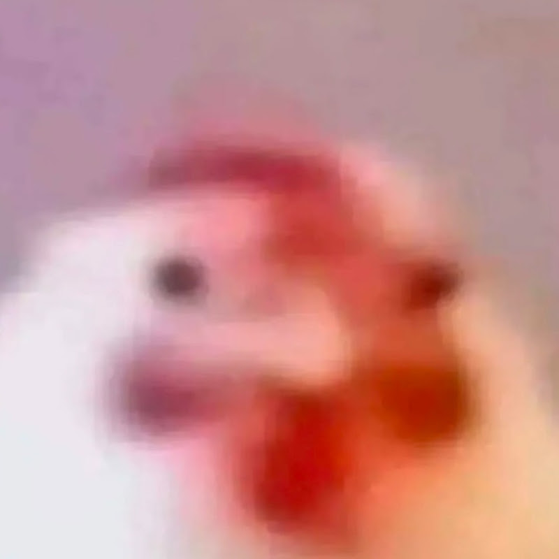 Chikken