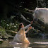 djq6-YDVqBo-channel-avatar--LEGENDOST-