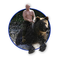Putin Validus