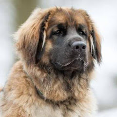 Ş𝕠𝐥ΔŕⓅ𝐀ωŻz☆