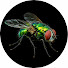 ohYKWsILl4g-channel-avatar-Amazon Fly