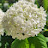 @blueSky-gg7gf