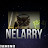 Mr. Nelarry gaming