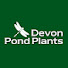 N7VnnWJbaUw-channel-avatar-Devon Pond Plants