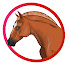 QXUKETR5tuo-channel-avatar-Horsey Talk