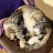 @tinkerkittyshow Avatar
