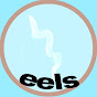 EELS  logo
