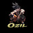 @ozil_islive