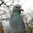 @jjjjj_j-t6y