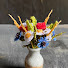 tY8p1rOZfQM-channel-avatar-Fancyknittles garden love 
