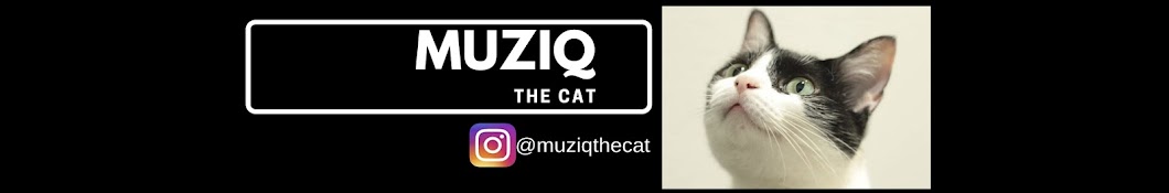 Muziq The Cat YouTube channel avatar