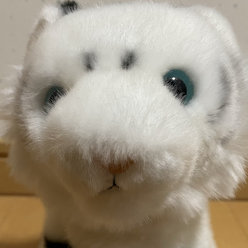 チャンネル画像